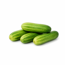 Indian Cucumber Green (Premium) 1 kg