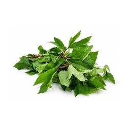 Gongura Leaves - 500 gm