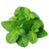 Mint Leaf (Bundle)
