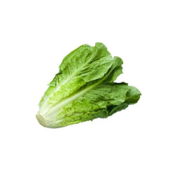 Lettuce Iran (Box)