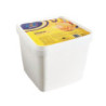 Ice Cream Mango Caic 6*4ltr