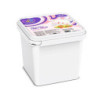 Ice Cream Fruitsalad Caic 6*4ltr