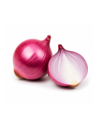 Onion