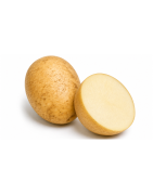 Potato