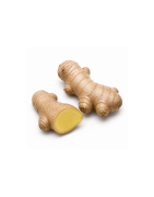 Ginger